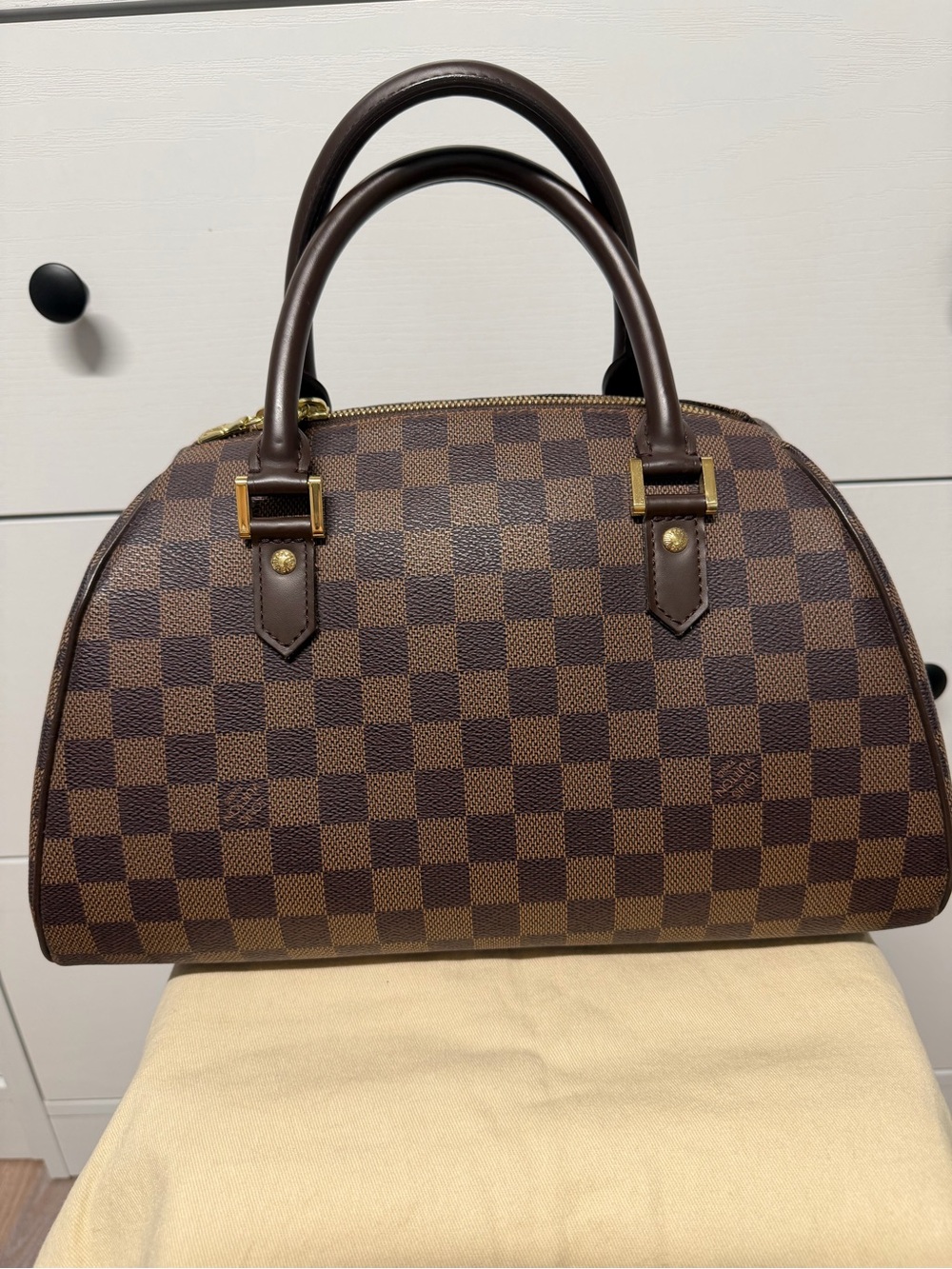 Louis Vuitton Damier Ebene Ribera MM Women's Tote Handbag Brown